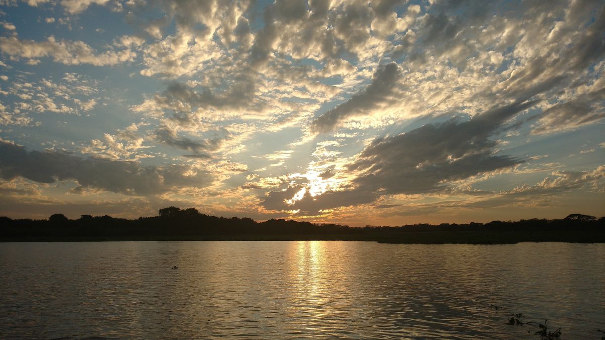 Una ciénaga colombiana al atardecer